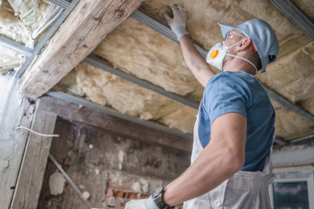 Best Insulation Maintenance and Repair in Granville, WV